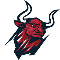 Houston Toros Logo