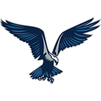 Seattle Raptors Logo