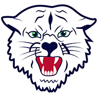 Napoleon Wildcats Logo