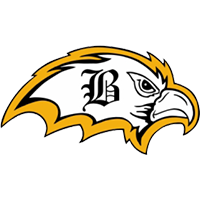 Brownsville Falcons Logo