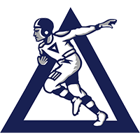 Dayton Triangles Logo