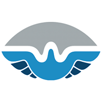 San Antonio Wings Logo